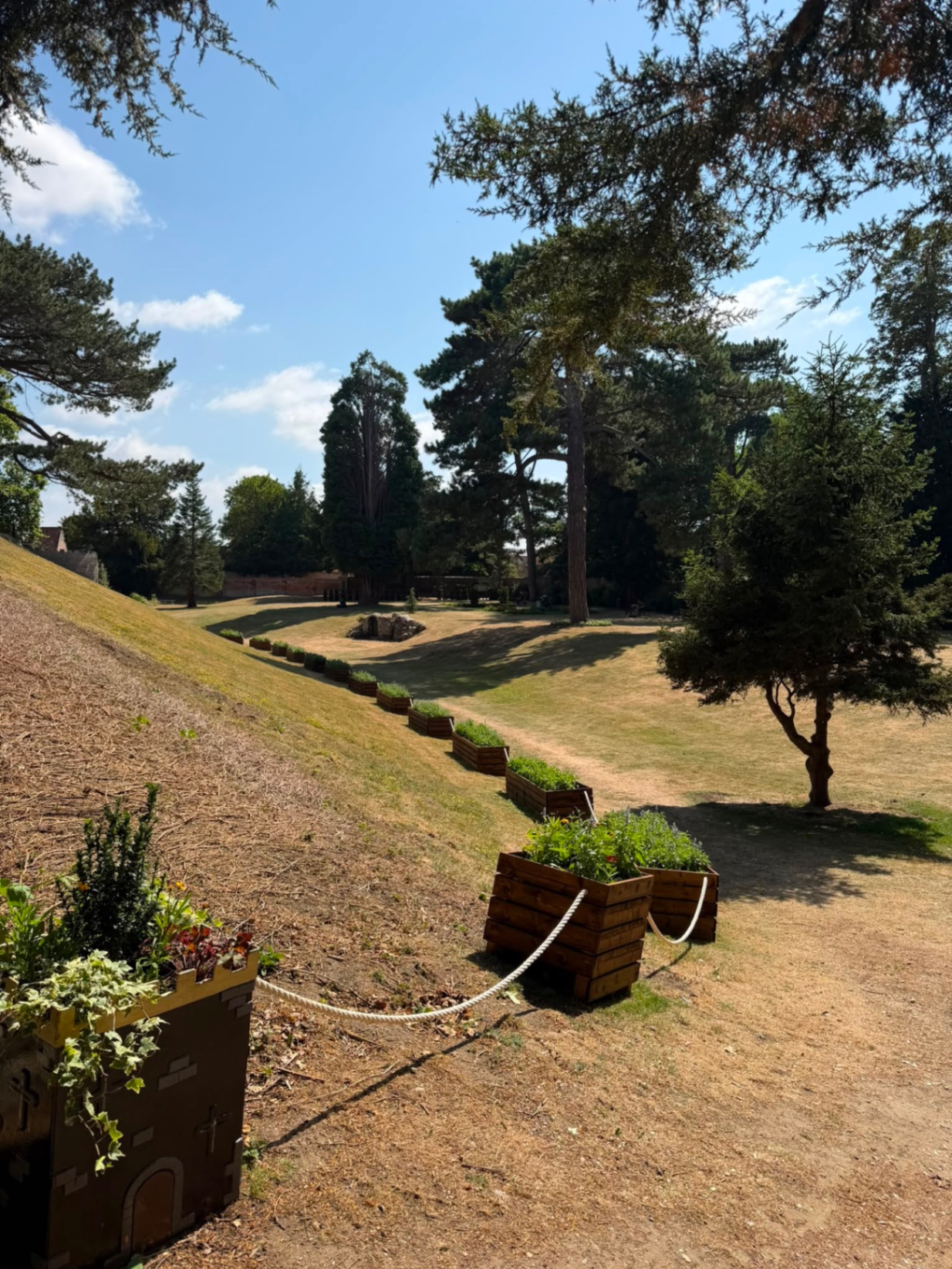A peaceful garden path with planters and mature trees